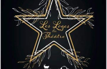 Les Loges Du Théatre 160m2 MAISON PRIVÉ 14 personnes MAX tout équipé a 200m de l'AVENUE DE CHAMPAGNE et toutes commodités DEGUSTATION CHAMPAGNE OFFERTE jacuzzi sauna jeux velos EMPLACEMENT EXCEPTIONNEL et CHIC - Foto 14