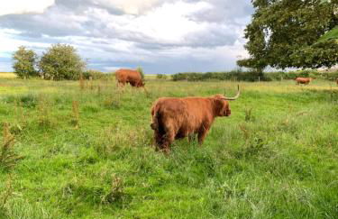 Jenson Cottage - Photo 70