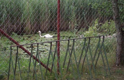 Apartament ALINA - Foto 57