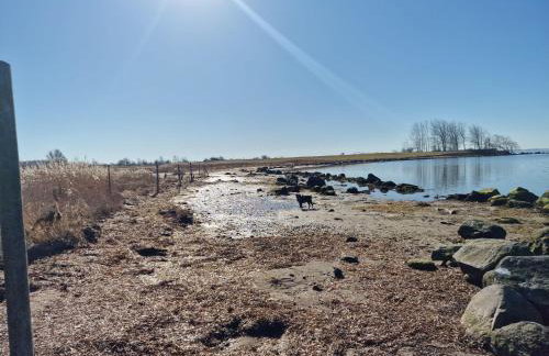 Haus-Fehmarn-am-Dorfteich-|-Wohnung-2-West - Foto 47