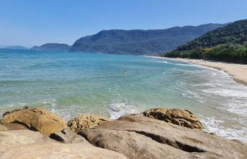 Will Container Experience - Foto 36