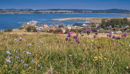 Ferienhaus Boddentraum Morgenrot - Foto 2