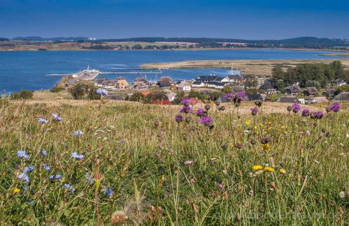 Ferienhaus Boddentraum Morgenrot - Foto 2