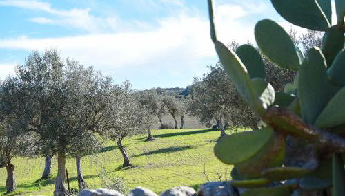 Agriturismo Tenuta Carbonara - Foto 1, Garden view