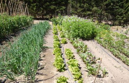 Château de la Motte - Entre Narbonne et le Canal du Midi - Foto 26