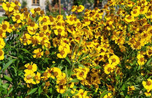 Stadlerhof - Foto 11