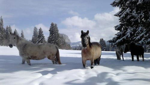gite des granges bailly - Foto 2, Garden view
