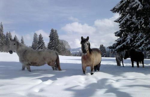gite des granges bailly - Foto 2