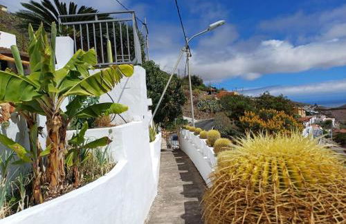 DRAGO 100, quiet and friendly - Foto 43