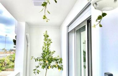 Windsurf Beach Front - Photo 14