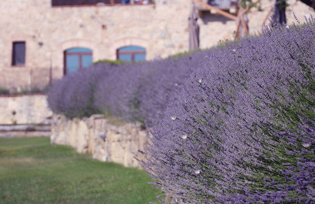 SPAO Borgo San Pietro AquaeOrtus - Foto 63