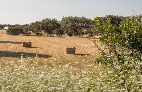 Casa do Ti Filipe - Praia Azenhas D El Rey - Foto 7