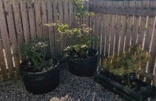 The Shelter Stone Cottage - Foto 29