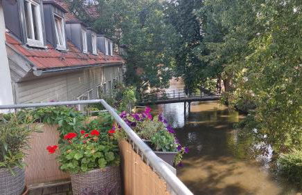 Altstadtapartment an der Krämerbrücke - Foto 23