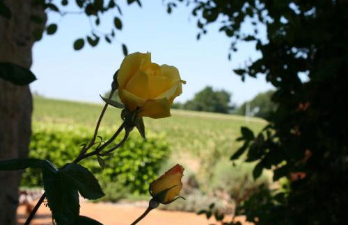 Gîte Rozies Dunes 6 p - Foto 13