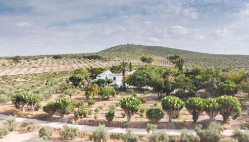 Cortijo Don Simón - Foto 2