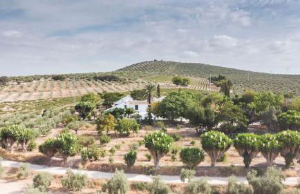 Cortijo Don Simón - Foto 2