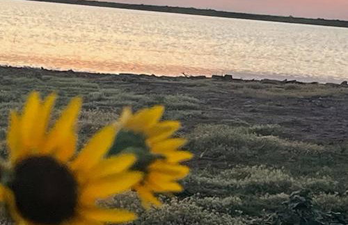 Farm Charm - Foto 16