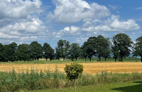 Studio Apartment Albblick - Foto 12