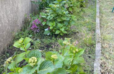 Quiberon plage et ville - Foto 11