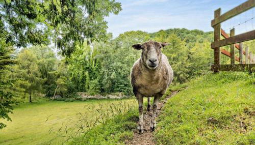 5 Bed in Newchurch oc-ic069 - Foto 2, Other