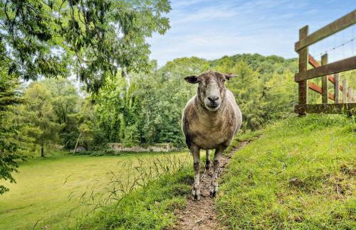 5 Bed in Newchurch oc-ic069 - Foto 2