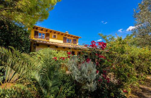 Can Pascolet - Foto 68