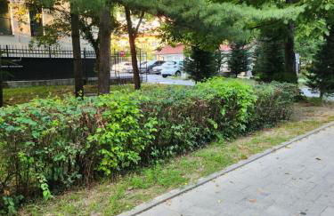 CRBN Di SJK28 - Foto 11