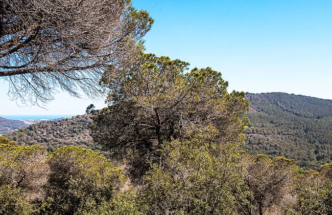 Ginesteres - Foto 28