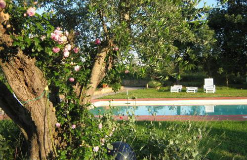 Agriturismo Poderino - Foto 4