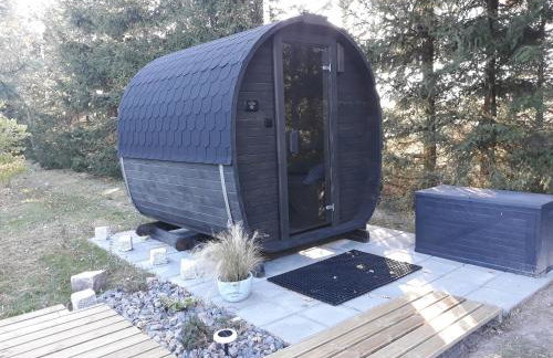 Pucówka na skraju Puszczy Białowieskiej - Foto 17