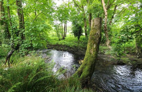 Glas y Dorlan - Foto 46