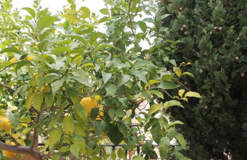 Altea Hills Villa Casablanca 23 - Foto 34