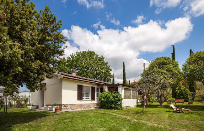 Artemisia negli ulivi B&B - Photo 25