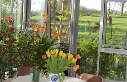 Glashaus Andres Fünf-Sterne-Ferienhaus - Foto 6