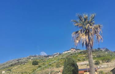 Villa Rosa - Foto 17