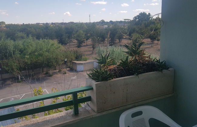 Bilocali Baia Verde - Foto 9