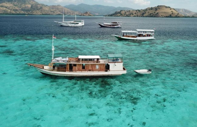 Regina Liveaboard - Foto 12