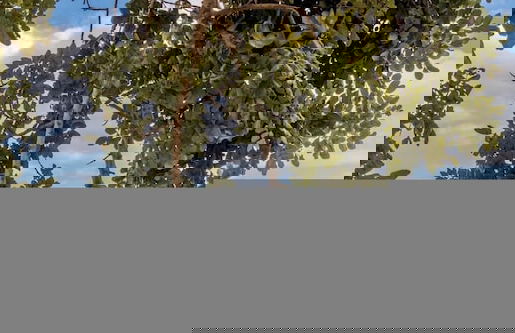 Elaia Bioglam Relais - Appartamento Delta - Foto 9