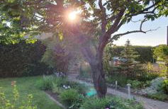 Ferienhaus Sonneck - Foto 30