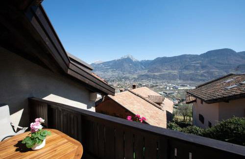 Weingut Pardellerhof - Foto 42