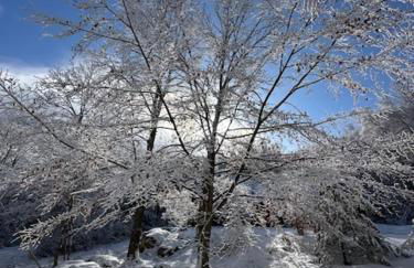 Perfect Vermont Battenkill Log Cabin - Photo 6