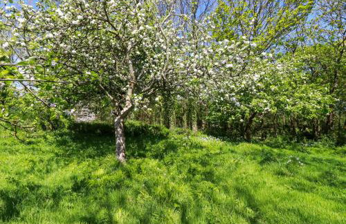 Polcreek Farmhouse - Foto 44