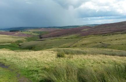 Gibraltar Farm Cottage - Foto 14