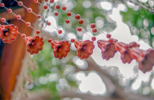 Mango Tree House - Photo 25