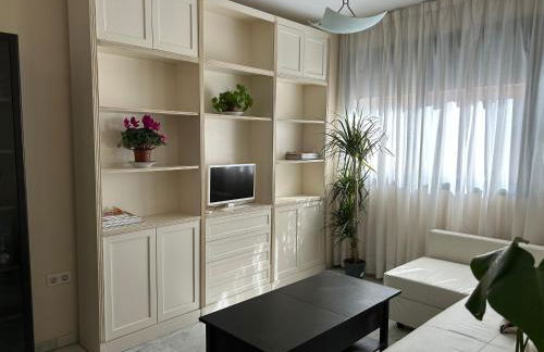 ATICO TRIANA CON PISCINA PRIVADA - Foto 5