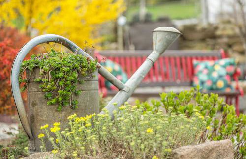 Bauzinger Alm - Foto 6