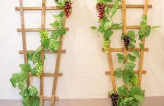 Qualys Vignoble parking, square view, close to city - Foto 18