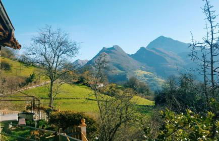 Sol de Asturias - Foto 10