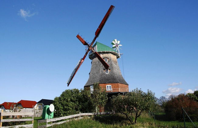 Hollaender Windmuehle in Neubukow - Foto 1